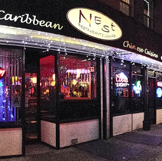 Nest Restaurant & Bar in South Richmond Hill City, New York, United States - #1 Photo of Restaurant, Food, Point of interest, Establishment, Bar