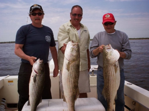 Photo by <br />
<b>Notice</b>:  Undefined index: user in <b>/home/www/activeuser/data/www/vaplace.com/core/views/default/photos.php</b> on line <b>128</b><br />
. Picture for Angler Sportfishing Charters in Staten Island City, New York, United States - Point of interest, Establishment