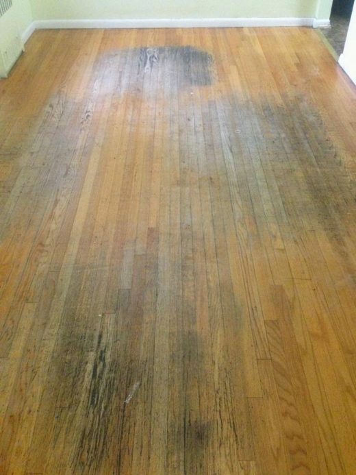 Showcase Wood Floors in Staten Island City, New York, United States - #3 Photo of Point of interest, Establishment, General contractor