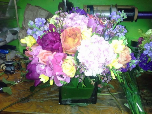 Photo by <br />
<b>Notice</b>:  Undefined index: user in <b>/home/www/activeuser/data/www/vaplace.com/core/views/default/photos.php</b> on line <b>128</b><br />
. Picture for Alborada Florist in New Rochelle City, New York, United States - Point of interest, Establishment, Store, Florist