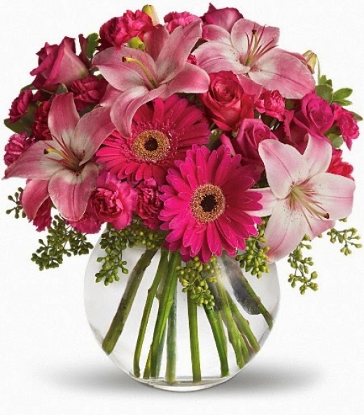 Photo by <br />
<b>Notice</b>:  Undefined index: user in <b>/home/www/activeuser/data/www/vaplace.com/core/views/default/photos.php</b> on line <b>128</b><br />
. Picture for Montclair Florist in Belleville City, New Jersey, United States - Point of interest, Establishment, Store, Florist