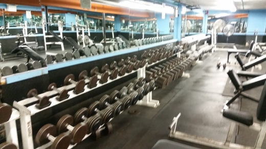Powerhouse Gym Bayside in Flushing City, New York, United States - #4 Photo of Point of interest, Establishment, Health, Gym