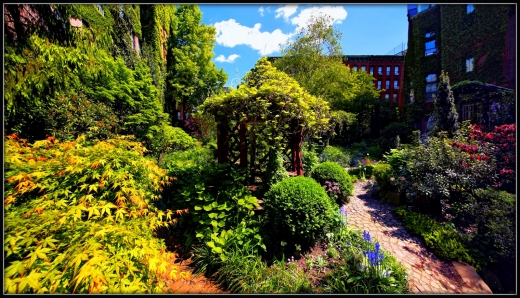 6BC Botanical Garden in New York City, New York, United States - #2 Photo of Point of interest, Establishment, Park