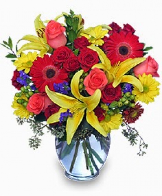 Photo by <br />
<b>Notice</b>:  Undefined index: user in <b>/home/www/activeuser/data/www/vaplace.com/core/views/default/photos.php</b> on line <b>128</b><br />
. Picture for Heavenly Florist in Ozone Park City, New York, United States - Point of interest, Establishment, Store, Clothing store, Florist