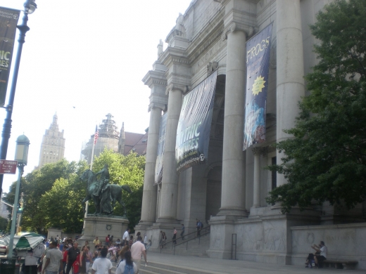 The Museum Shop - American Museum of Natural History in New York City, New York, United States - #2 Photo of Point of interest, Establishment, Store