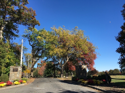 Siwanoy Country Club in Bronxville City, New York, United States - #4 Photo of Point of interest, Establishment