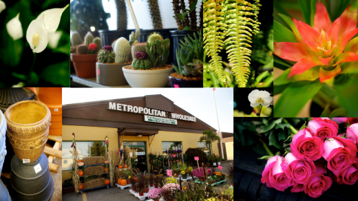 Photo by Cityside Flowers - Metropolitan Wholesale for Cityside Flowers - Metropolitan Wholesale