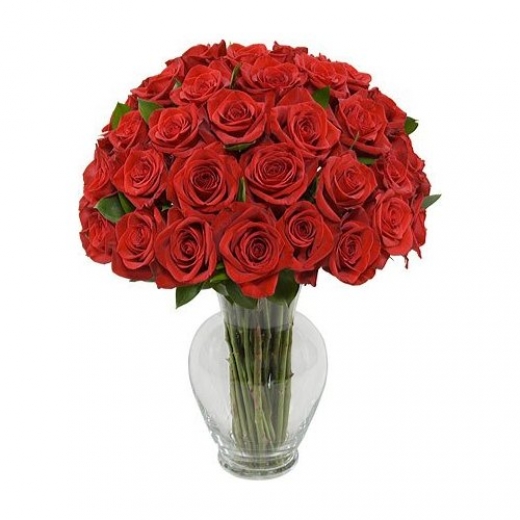 Photo by <br />
<b>Notice</b>:  Undefined index: user in <b>/home/www/activeuser/data/www/vaplace.com/core/views/default/photos.php</b> on line <b>128</b><br />
. Picture for Kings County Florist - Fruit Baskets in Brooklyn City, New York, United States - Food, Point of interest, Establishment, Store, Hospital, Florist