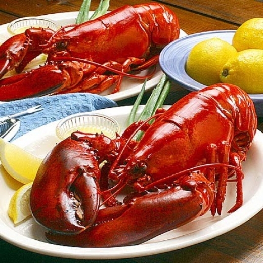 Jordan Lobster Farms in Island Park City, New York, United States - #4 Photo of Restaurant, Food, Point of interest, Establishment