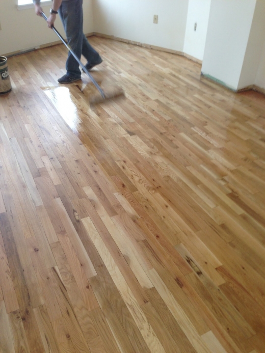 Photo by <br />
<b>Notice</b>:  Undefined index: user in <b>/home/www/activeuser/data/www/vaplace.com/core/views/default/photos.php</b> on line <b>128</b><br />
. Picture for Showcase Wood Floors in Staten Island City, New York, United States - Point of interest, Establishment, General contractor