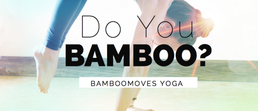 BambooMoves Yoga Englewood NJ in Englewood City, New Jersey, United States - #3 Photo of Point of interest, Establishment, Health, Gym