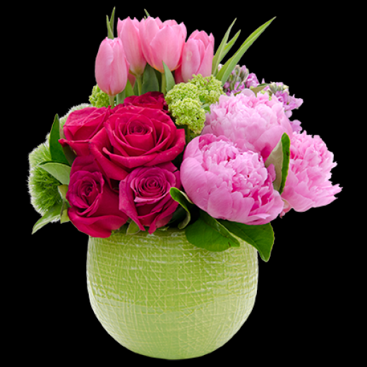 Photo by <br />
<b>Notice</b>:  Undefined index: user in <b>/home/www/activeuser/data/www/vaplace.com/core/views/default/photos.php</b> on line <b>128</b><br />
. Picture for Queens Garden Florist in Whitestone City, New York, United States - Point of interest, Establishment, Store, Florist
