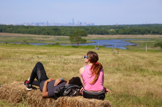 Photo by <br />
<b>Notice</b>:  Undefined index: user in <b>/home/www/activeuser/data/www/vaplace.com/core/views/default/photos.php</b> on line <b>128</b><br />
. Picture for Freshkills Park in Staten Island City, New York, United States - Point of interest, Establishment, Park