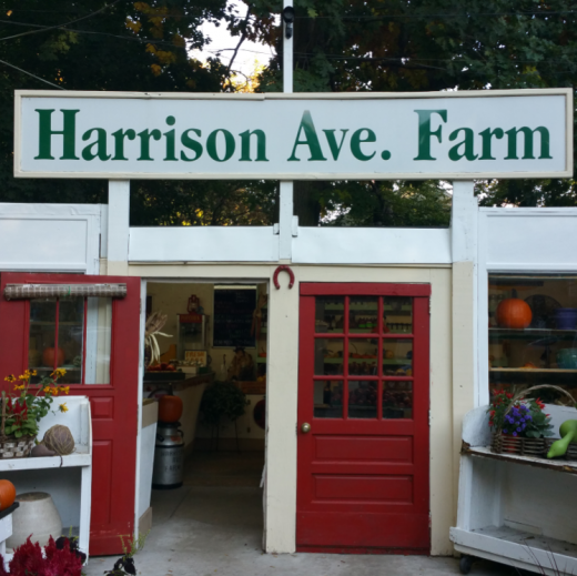 Photo by Harrison Avenue Farm for Harrison Avenue Farm