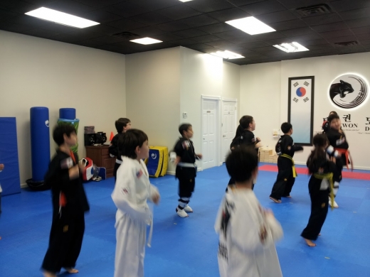 Imperial Taekwondo Academy-Ave U in Kings County City, New York, United States - #3 Photo of Point of interest, Establishment, Health