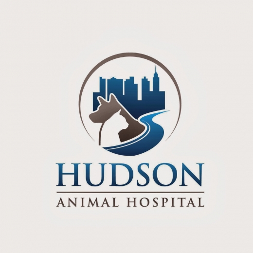 Hudson Animal Hospital in New York City, New York, United States - #3 Photo of Point of interest, Establishment, Store, Health, Doctor, Dentist, Veterinary care
