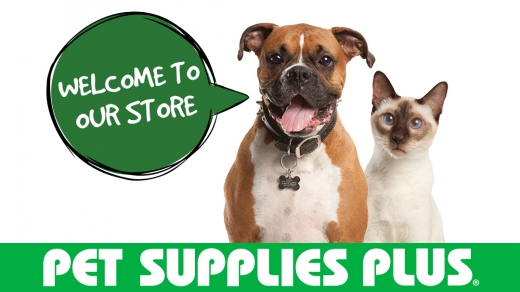 Pet Supplies Plus in Inwood City, New York, United States - #2 Photo of Point of interest, Establishment, Store, Pet store