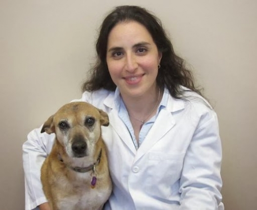 Photo by <br />
<b>Notice</b>:  Undefined index: user in <b>/home/www/activeuser/data/www/vaplace.com/core/views/default/photos.php</b> on line <b>128</b><br />
. Picture for Green Forest Veterinary Hospital of Glen Cove in Glen Cove City, New York, United States - Point of interest, Establishment, Health, Veterinary care