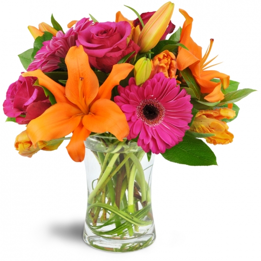 Photo by <br />
<b>Notice</b>:  Undefined index: user in <b>/home/www/activeuser/data/www/vaplace.com/core/views/default/photos.php</b> on line <b>128</b><br />
. Picture for Q Florist in New York City, New York, United States - Point of interest, Establishment, Store, Florist