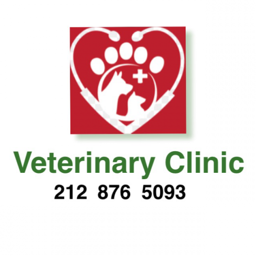 Photo by <br />
<b>Notice</b>:  Undefined index: user in <b>/home/www/activeuser/data/www/vaplace.com/core/views/default/photos.php</b> on line <b>128</b><br />
. Picture for Ideal Pet Veterinary Clinic in New York City, New York, United States - Point of interest, Establishment, Health, Veterinary care