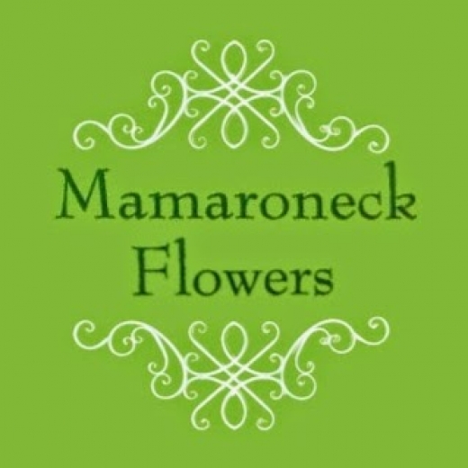 Photo by <br />
<b>Notice</b>:  Undefined index: user in <b>/home/www/activeuser/data/www/vaplace.com/core/views/default/photos.php</b> on line <b>128</b><br />
. Picture for Mamaroneck Flowers in Mamaroneck City, New York, United States - Point of interest, Establishment, Store, Florist