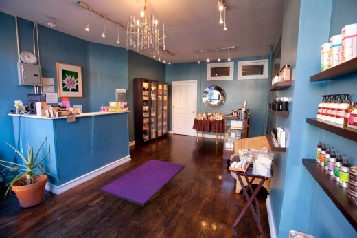 Area Spa in Kings County City, New York, United States - #1 Photo of Point of interest, Establishment, Spa, Beauty salon