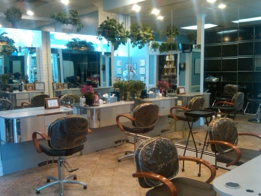 January's Salon in Locust Valley City, New York, United States - #1 Photo of Point of interest, Establishment, Beauty salon, Hair care