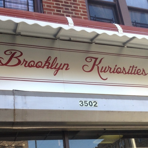 Brooklyn Kuriosities in Kings County City, New York, United States - #1 Photo of Point of interest, Establishment, Store