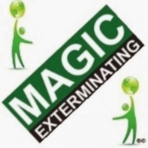 Photo by Magic Exterminating for Magic Exterminating
