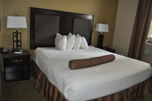 Photo by <br />
<b>Notice</b>:  Undefined index: user in <b>/home/www/activeuser/data/www/vaplace.com/core/views/default/photos.php</b> on line <b>128</b><br />
. Picture for Best Western Plaza Hotel in Long Island City, New York, United States - Point of interest, Establishment, Lodging