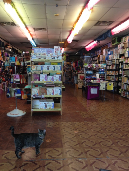 Fussy Friends Pet Supplies in Jersey City, New Jersey, United States - #3 Photo of Point of interest, Establishment, Store, Pet store