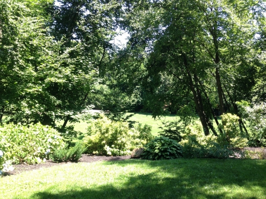 Flower Hill County Park in Manhasset City, New York, United States - #2 Photo of Point of interest, Establishment, Park