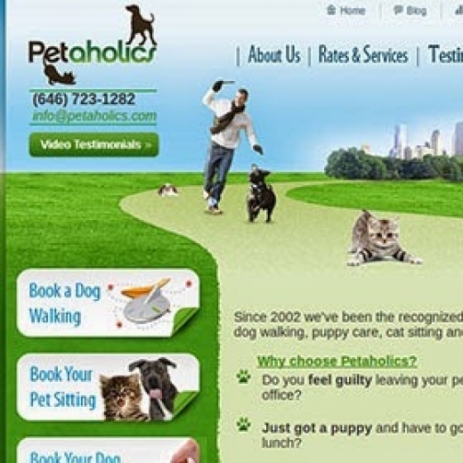 NYC DOG WALKER BY Petaholics in New York City, New York, United States - #1 Photo of Point of interest, Establishment