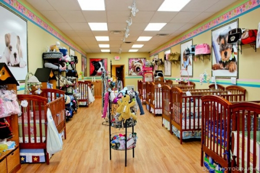 NJ Puppy Store in Fair Lawn City, New Jersey, United States - #2 Photo of Point of interest, Establishment, Store, Pet store