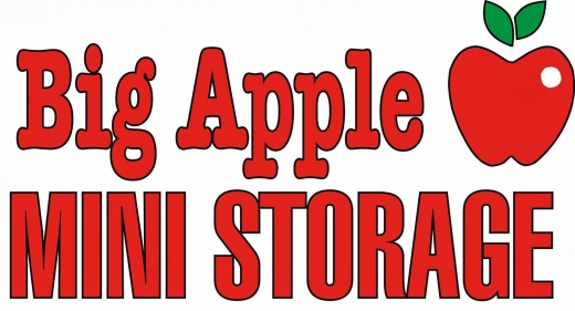 Big Apple Mini Storage in New York City, New York, United States - #2 Photo of Point of interest, Establishment, Storage