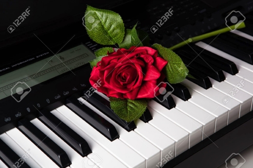 Photo by <br />
<b>Notice</b>:  Undefined index: user in <b>/home/www/activeuser/data/www/vaplace.com/core/views/default/photos.php</b> on line <b>128</b><br />
. Picture for East Best Piano Tuning and Repair in Springfield Township City, New Jersey, United States - Point of interest, Establishment, Store
