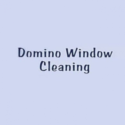 Domino Window Cleaning in Kings County City, New York, United States - #2 Photo of Point of interest, Establishment