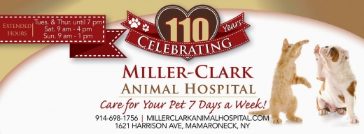 Miller-Clark Animal Hospital in Mamaroneck City, New York, United States - #4 Photo of Point of interest, Establishment, Veterinary care