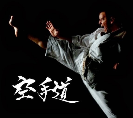 Photo by <br />
<b>Notice</b>:  Undefined index: user in <b>/home/www/activeuser/data/www/vaplace.com/core/views/default/photos.php</b> on line <b>128</b><br />
. Picture for Japan Shotokan Karate Association in Kings County City, New York, United States - Point of interest, Establishment, Health