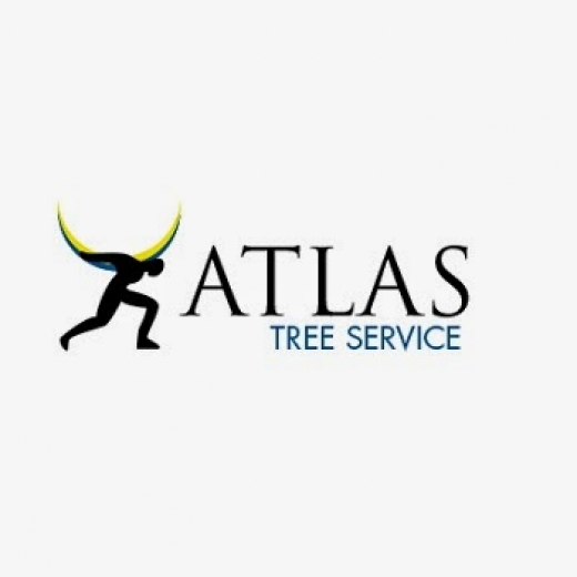 Photo by Atlas Tree Services for Atlas Tree Services