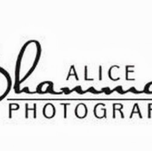 Alice Shammah Photography,Inc in Kings County City, New York, United States - #1 Photo of Point of interest, Establishment