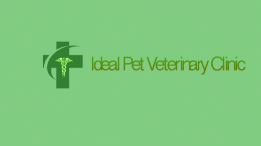 Ideal Pet Veterinary Clinic in New York City, New York, United States - #4 Photo of Point of interest, Establishment, Health, Veterinary care