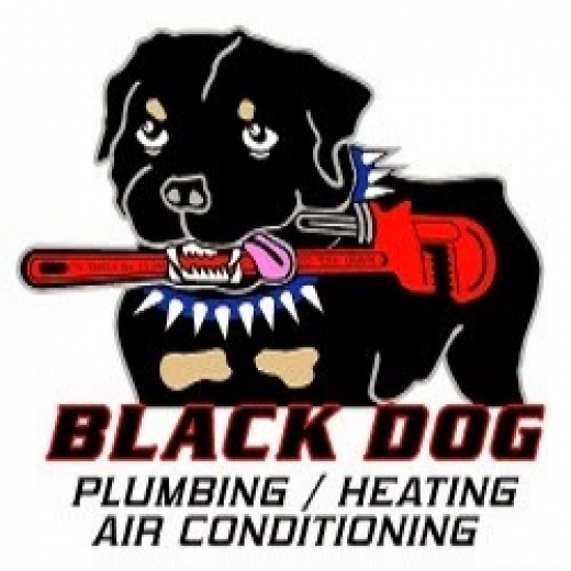Photo by Black Dog Plumbing, Heating & AC for Black Dog Plumbing, Heating & AC