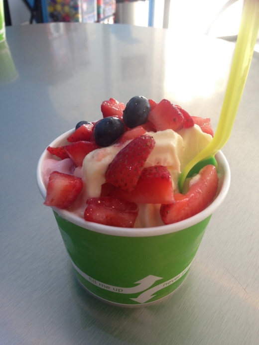 Photo by <br />
<b>Notice</b>:  Undefined index: user in <b>/home/www/activeuser/data/www/vaplace.com/core/views/default/photos.php</b> on line <b>128</b><br />
. Picture for Coastal Frozen Yogurt in Rockaway City, New York, United States - Food, Point of interest, Establishment, Store