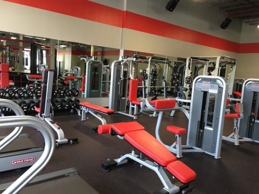 UFC GYM in Kings County City, New York, United States - #4 Photo of Point of interest, Establishment, Health, Gym