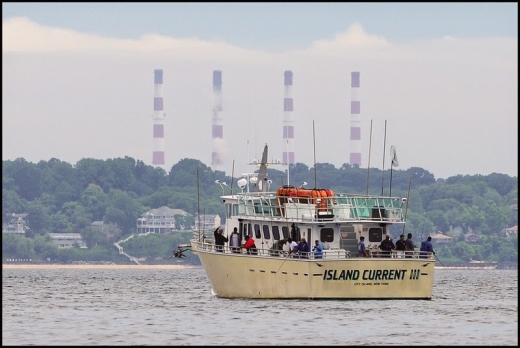 Island Current Fleet in Bronx City, New York, United States - #1 Photo of Point of interest, Establishment