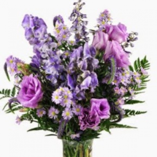 Photo by <br />
<b>Notice</b>:  Undefined index: user in <b>/home/www/activeuser/data/www/vaplace.com/core/views/default/photos.php</b> on line <b>128</b><br />
. Picture for Bed of Roses Florist in Yonkers City, New York, United States - Point of interest, Establishment, Store, Florist