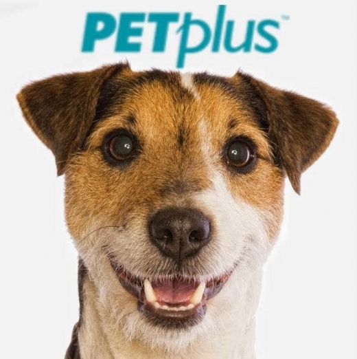 Photo by PetPlus for PetPlus