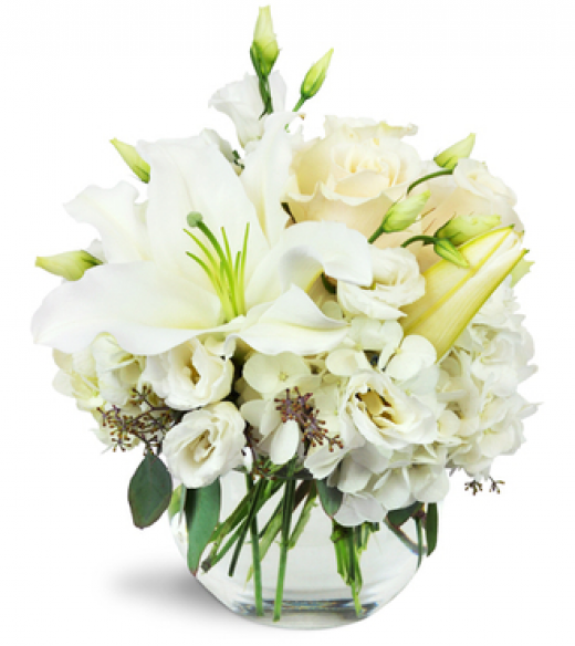 Photo by <br />
<b>Notice</b>:  Undefined index: user in <b>/home/www/activeuser/data/www/vaplace.com/core/views/default/photos.php</b> on line <b>128</b><br />
. Picture for Tuckahoe Florist in Tuckahoe City, New York, United States - Point of interest, Establishment, Store, Florist