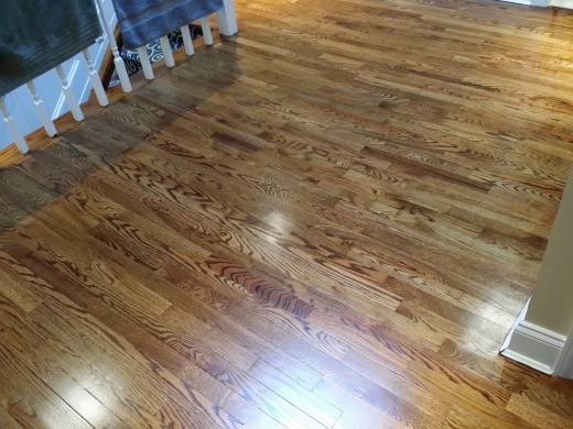American German Floor Scraping in Queens City, New York, United States - #3 Photo of Point of interest, Establishment, General contractor